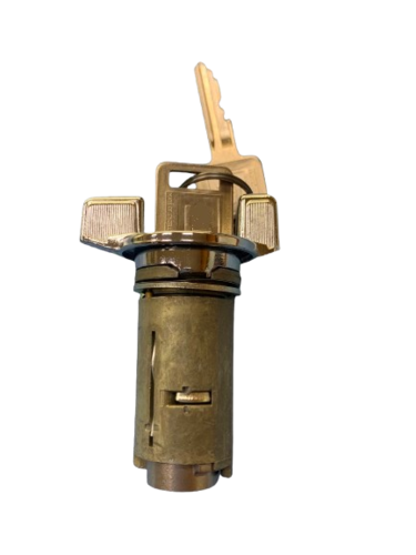 T8901_1979-91_Chevy_GMC_Ignition_switch_with_keys__2_-removebg-preview-removebg-preview (2)