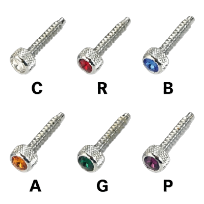 Chrome Kenworth Long Dash Screw with Color Jewel-1