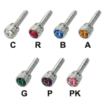 Kenworth Dash Screw