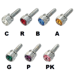 Kenworth Short Dash Screw with Color Jewel