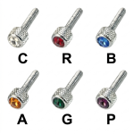 Kenworth Short Dash Screw
